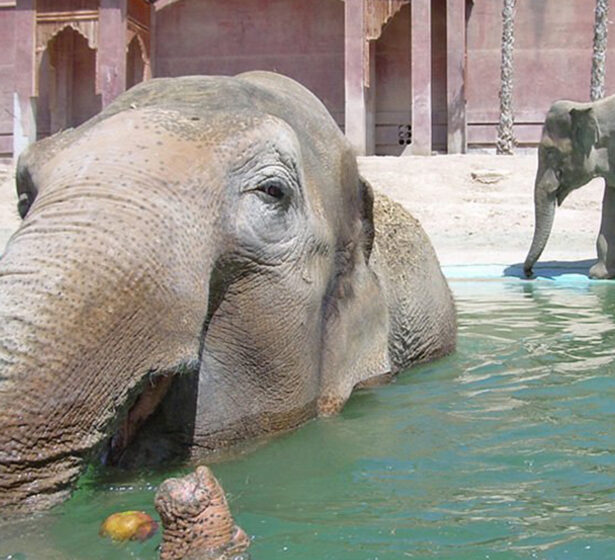 Terra Natura