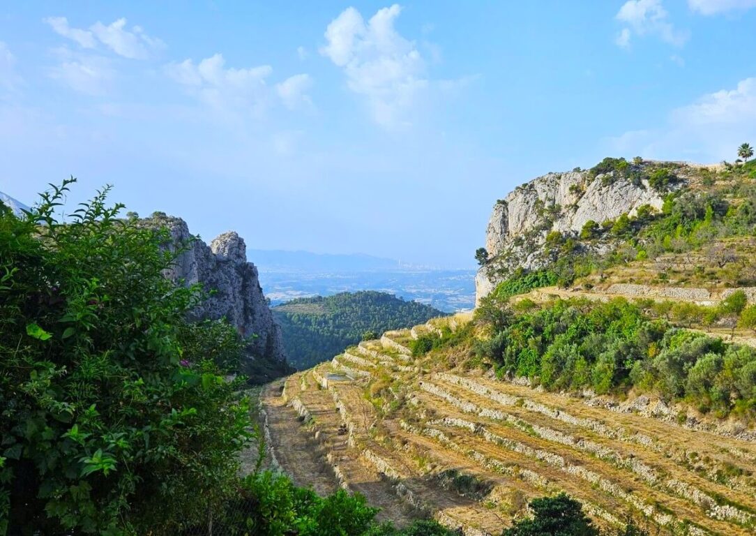 Terraced Hillside, Tarbena.