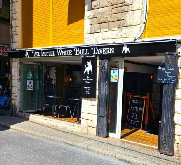 The Little White Bull