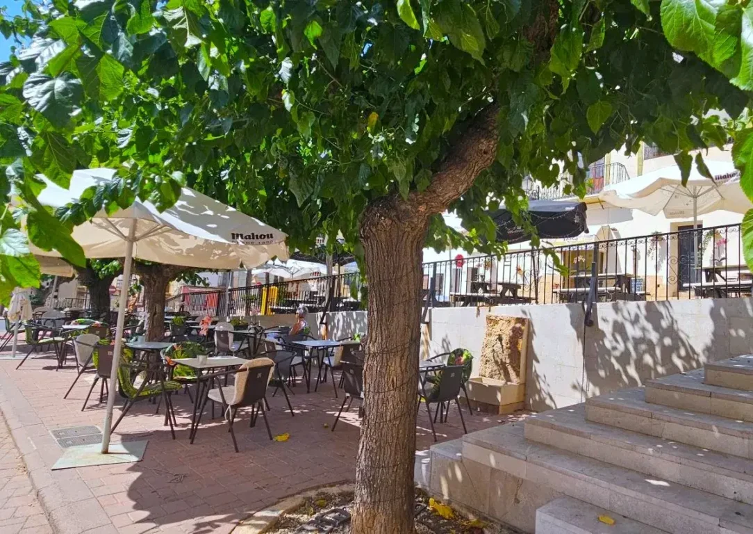 Al Fresco Dining at Tasca l'Albarda, Polop.